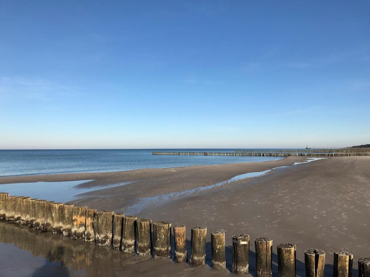 Strandhaus Lindenstrasse Zingst Zewnętrze zdjęcie